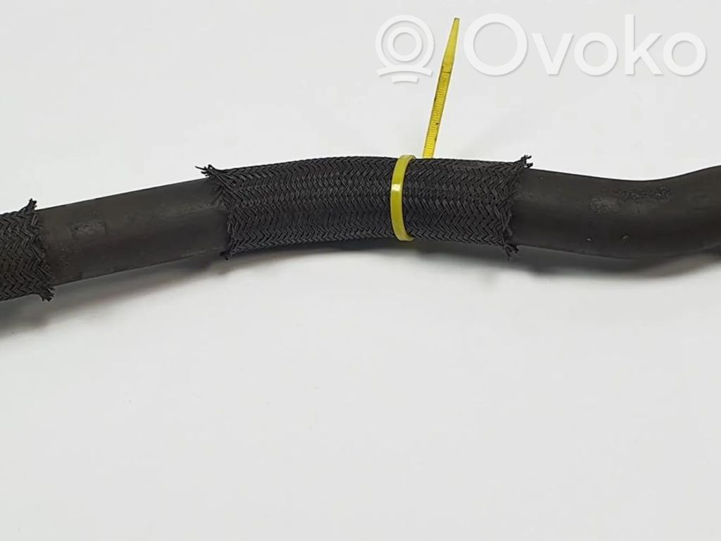 Ford Focus Przewód / Wąż chłodnicy 