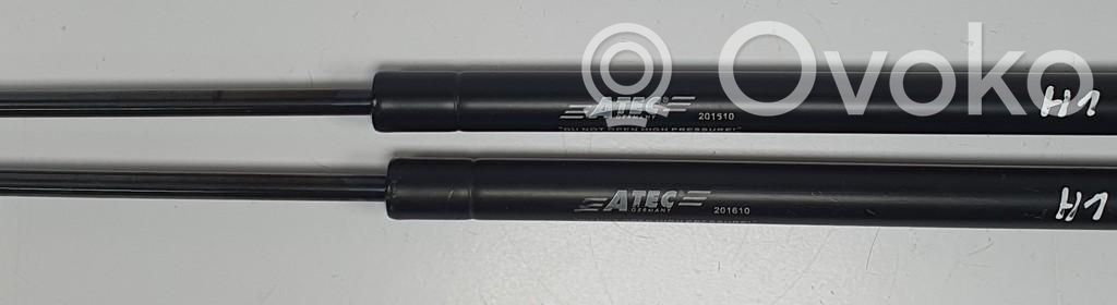 Opel Zafira A Bagažinės amortizatorius 