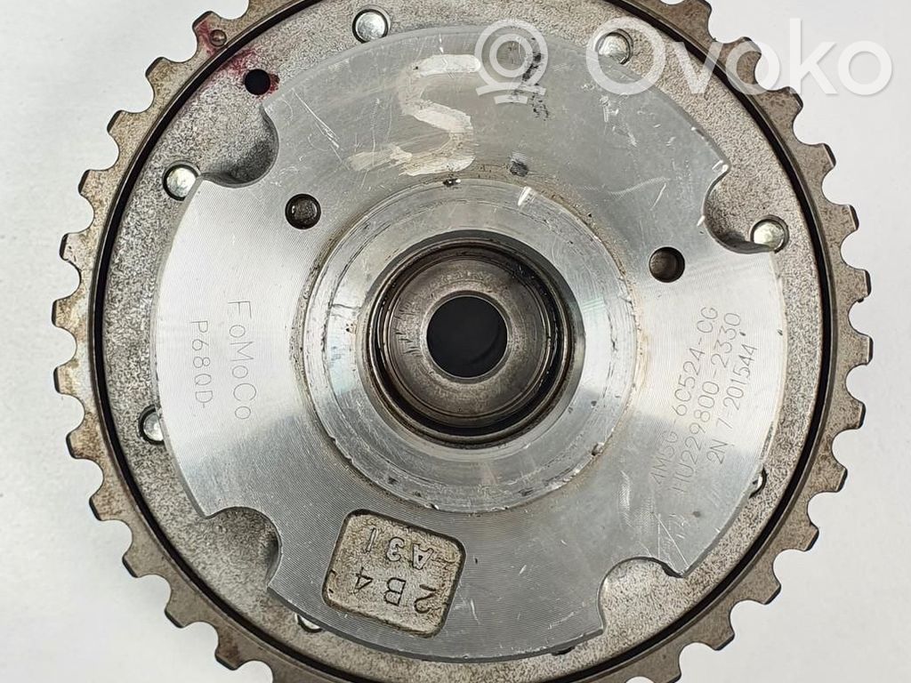 Ford Focus Pignone della catena di distribuzione 