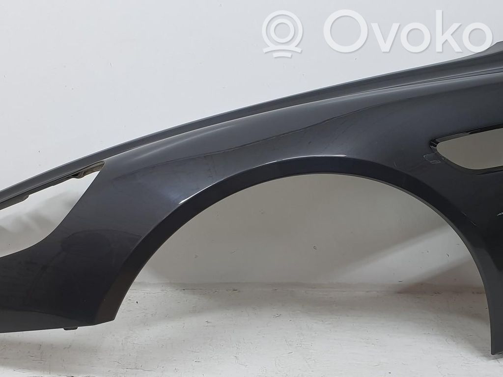 Aston Martin Rapide Kotflügel 