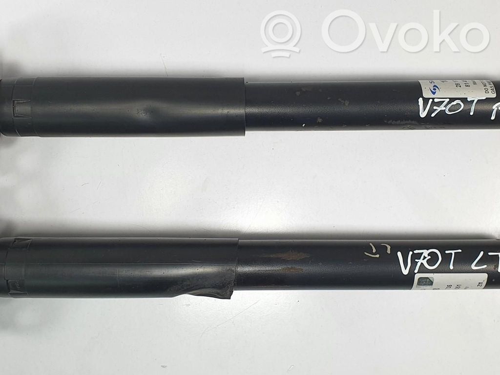 Stoßdämpfer hinten   828