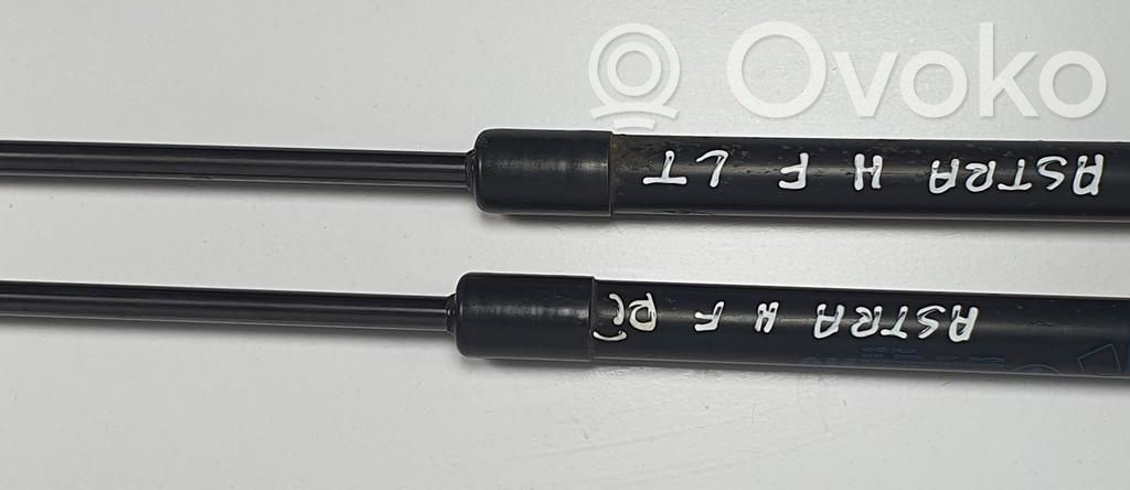Muelle amortiguador puerta trasera   463,463,829