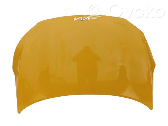 Engine bonnet/hood   66400H8430