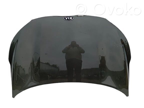 Engine bonnet/hood   66400H8400