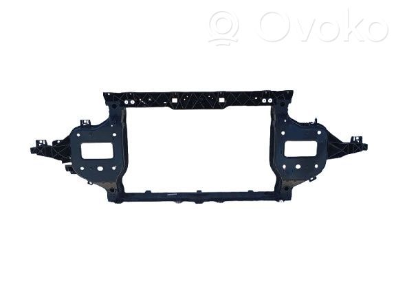 Priekinė kėbulo dalis   64101CV000