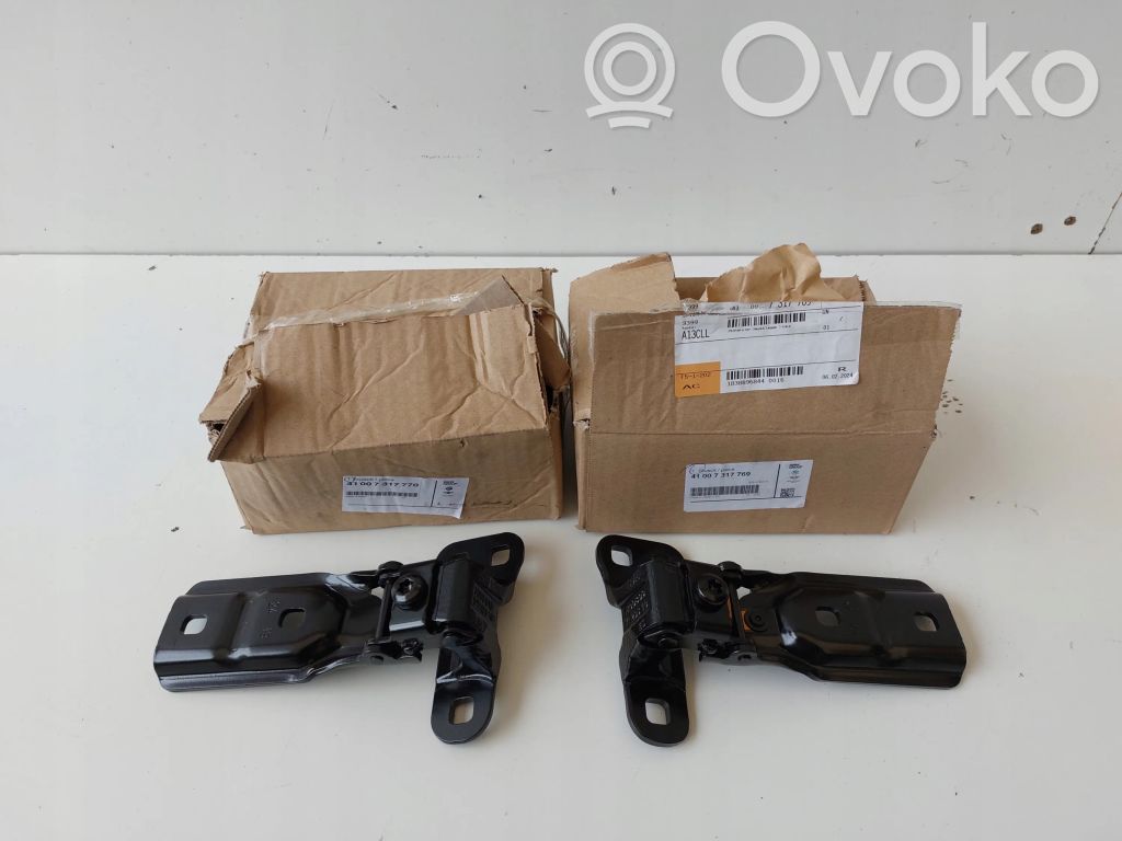 BMW 2 F45 Tailgate/trunk/boot hinge 