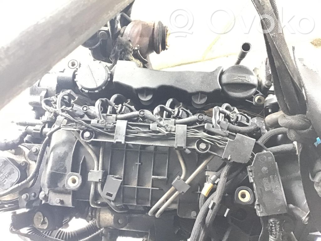 Ford Focus Engine 
