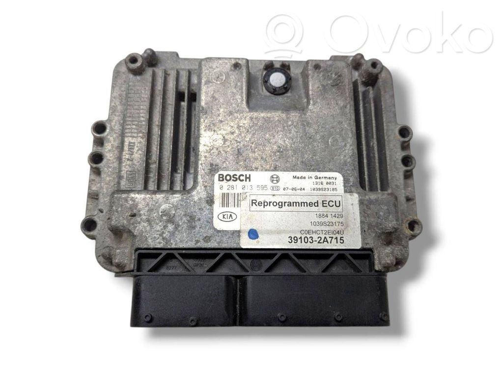 Engine control unit/module ECU   391032A715