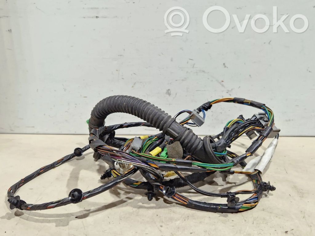 Cableado de puerta trasera   6G9T14603