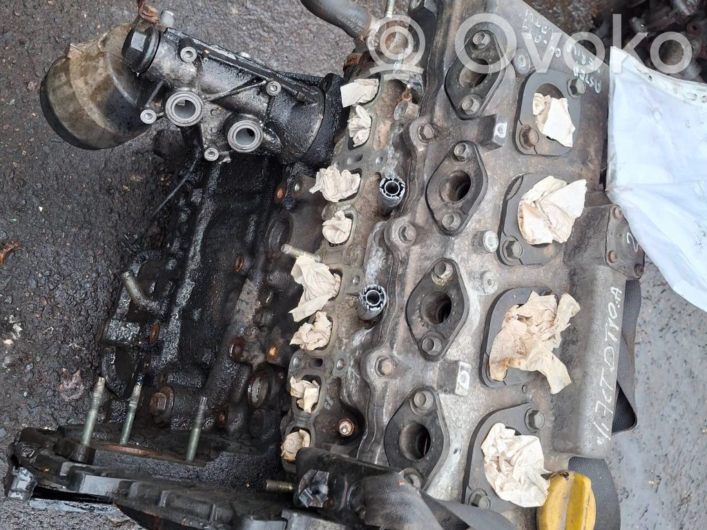 Variklis   Z17DTH,1386285