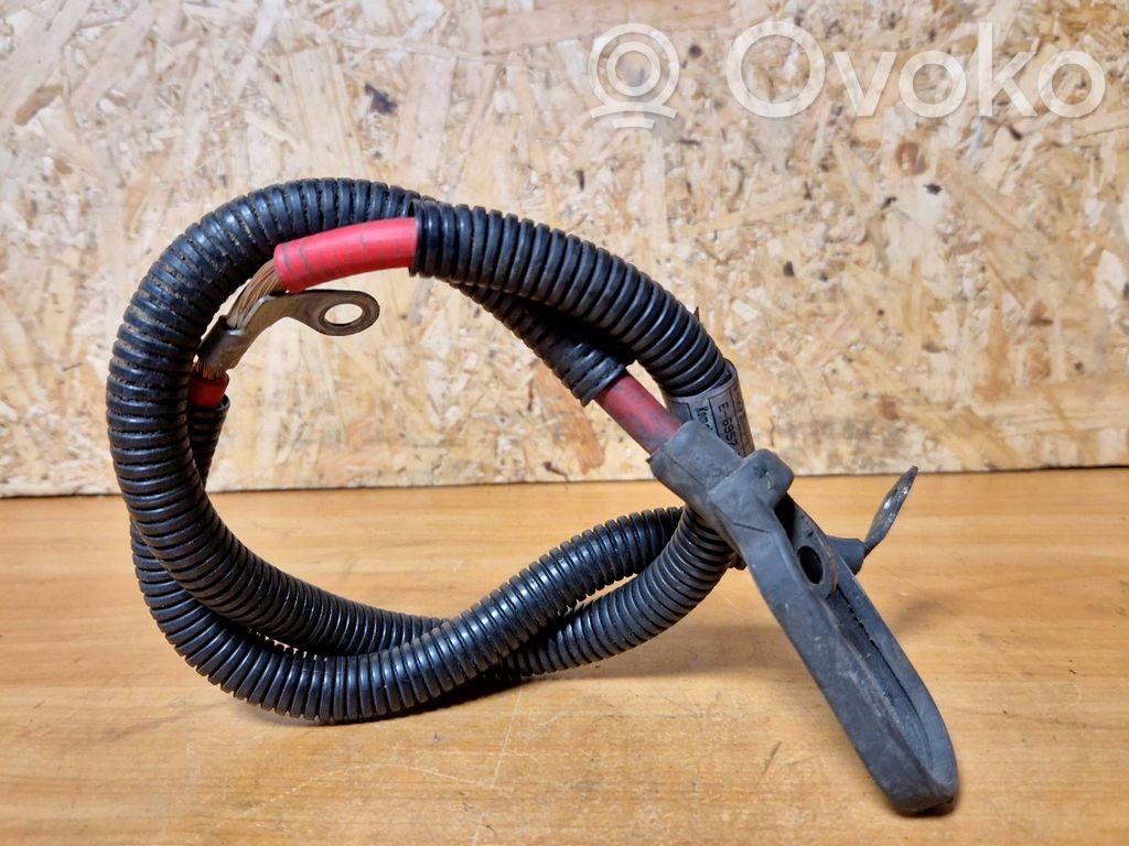 Cable positivo (batería)   12522245540