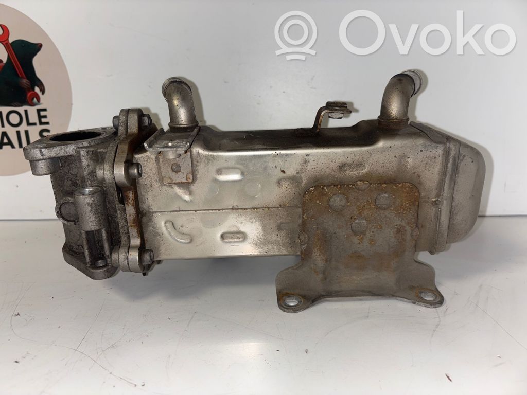 KIA Sportage Valvola di raffreddamento EGR 