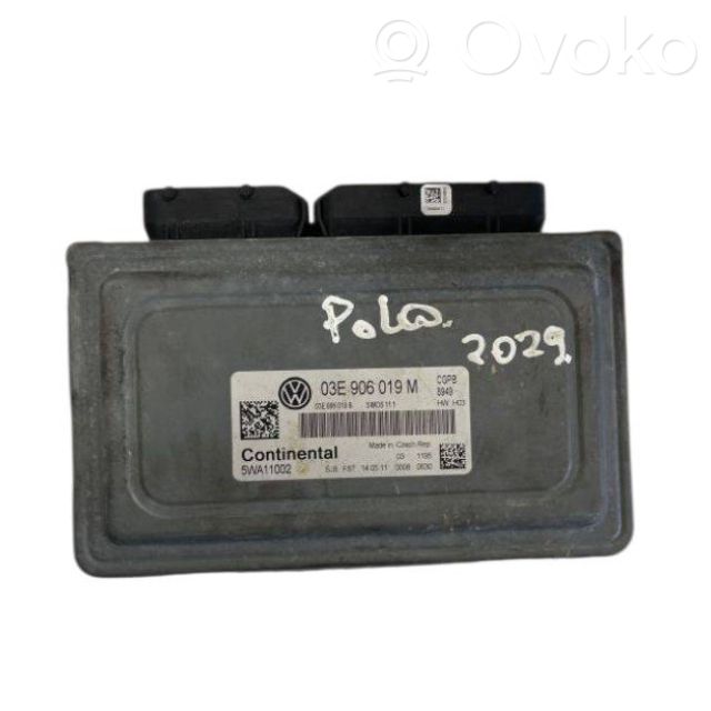 Engine control unit/module   03E906019M,5WA11002,03E906019B