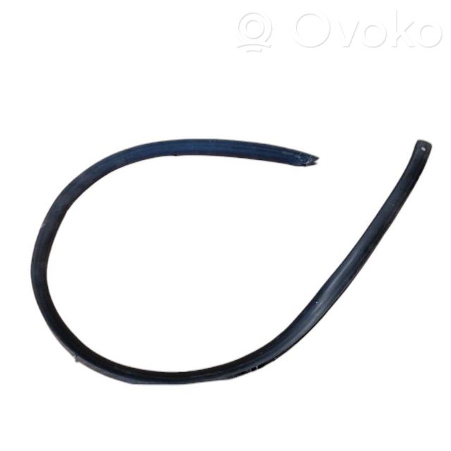 Opel Insignia A Sandarinimo guma priekinių durų (ant kėbulo) 