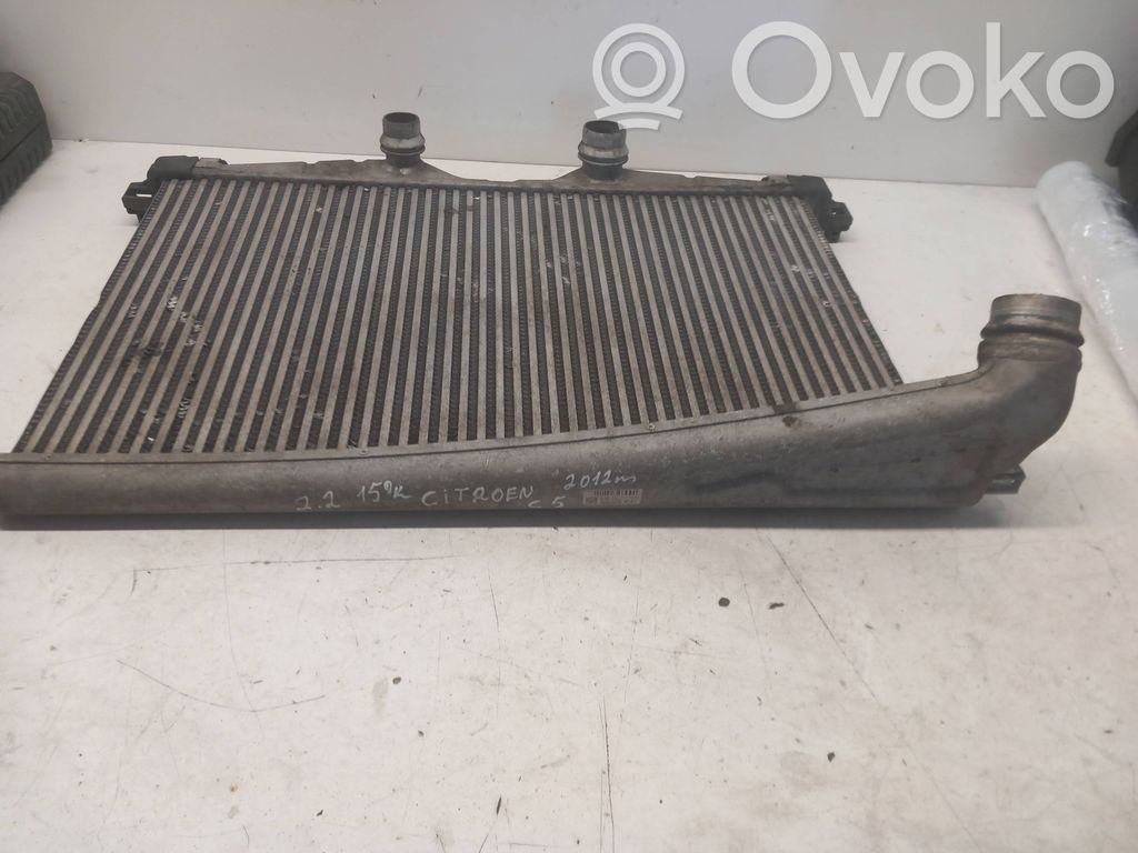 Citroen C5 Aušinimo skysčio radiatorius 