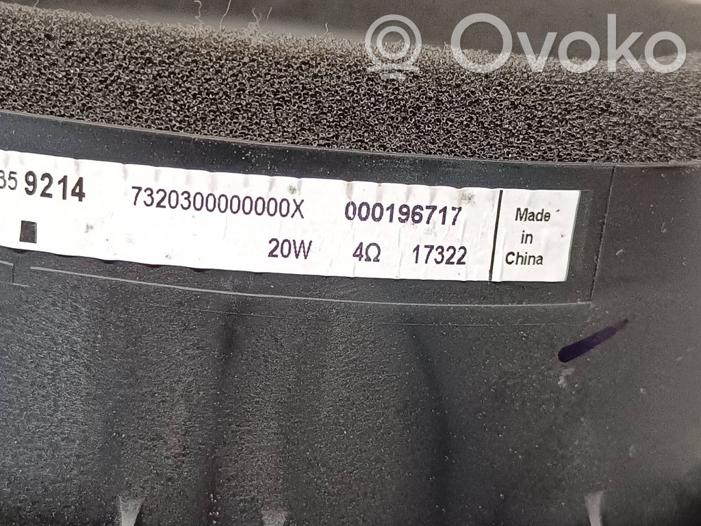 Opel Insignia B Rear door speaker 