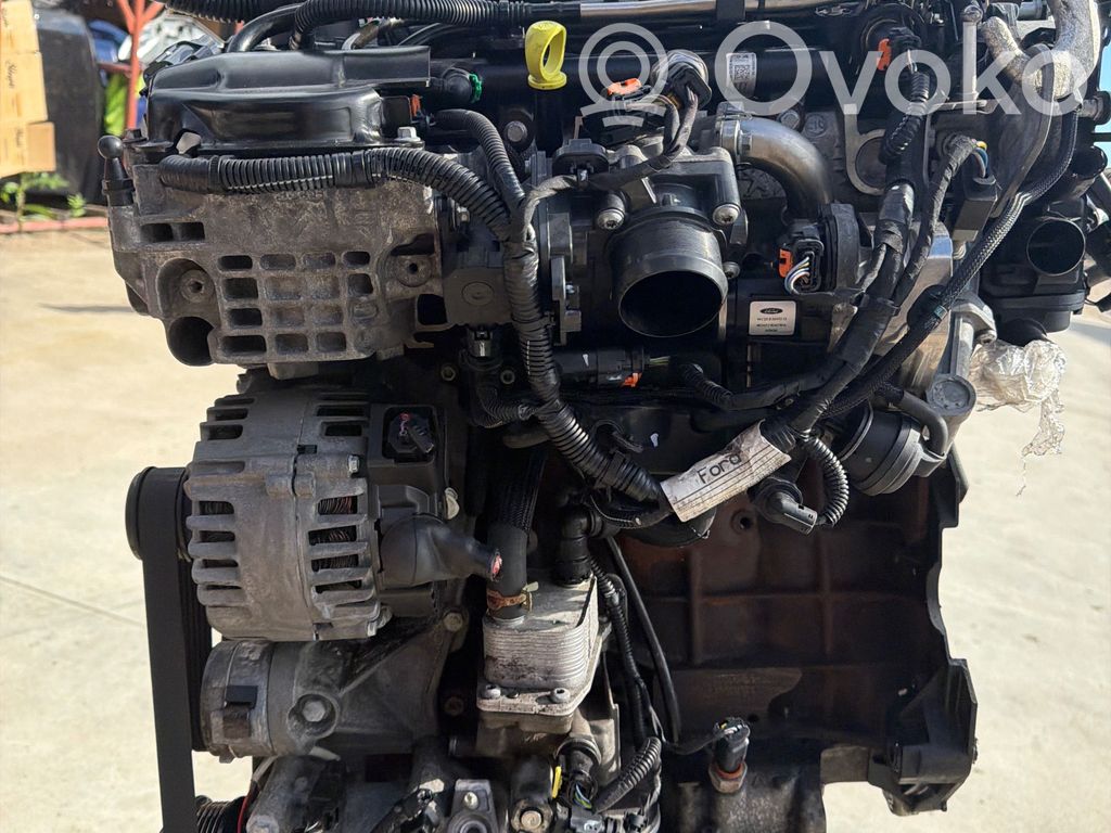 Motor   T8CJ