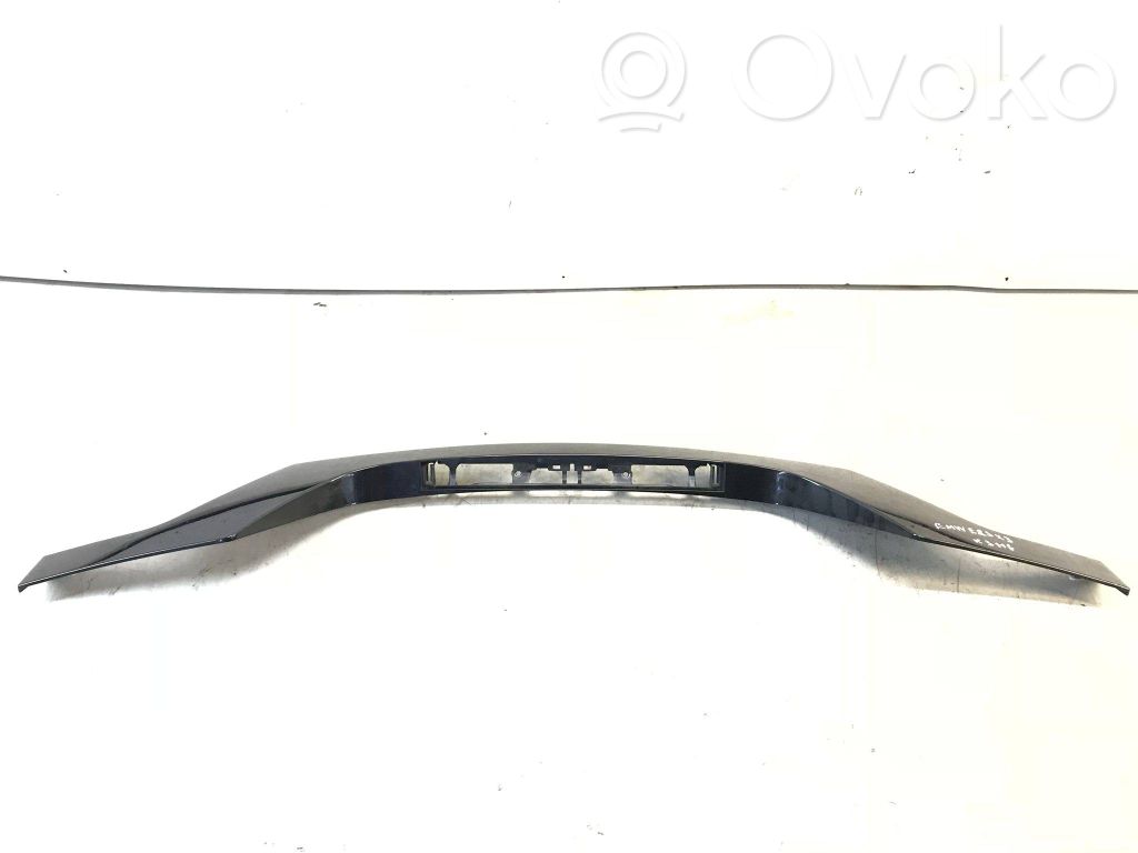 BMW X3 E83 Tailgate trim 