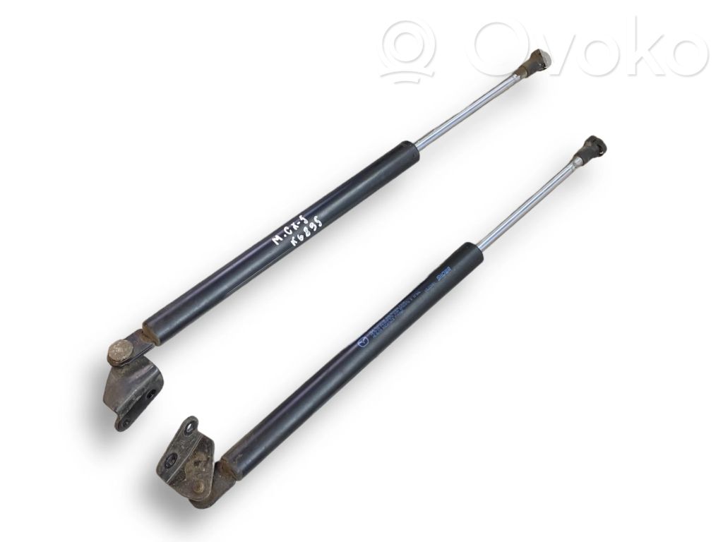 Tailgate/trunk strut/damper