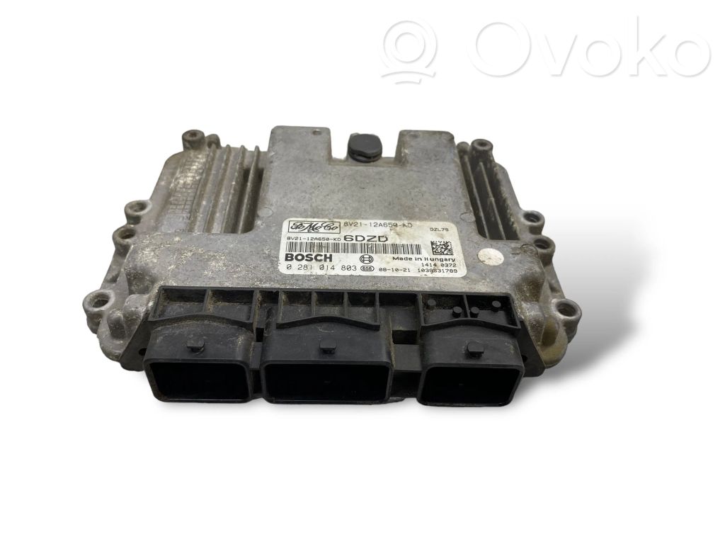 Ford Fiesta Engine control unit/module 
