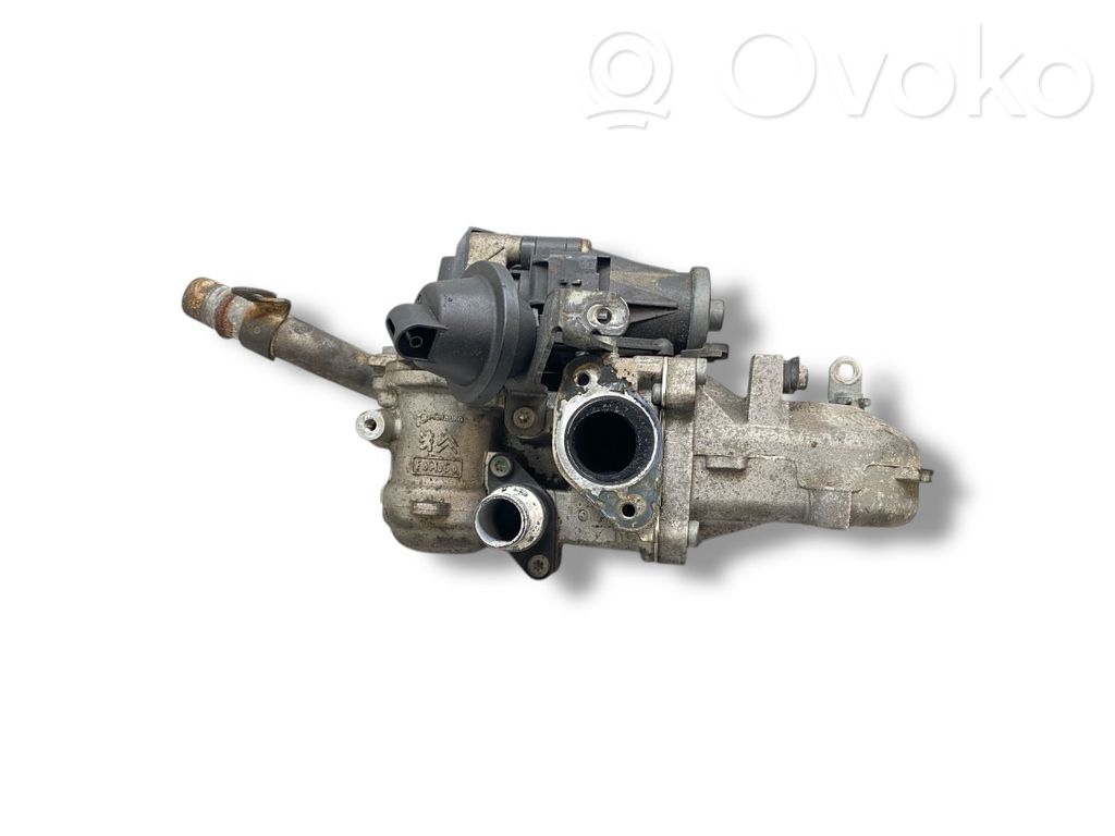 Citroen C3 Picasso Refrigerador de la válvula EGR 