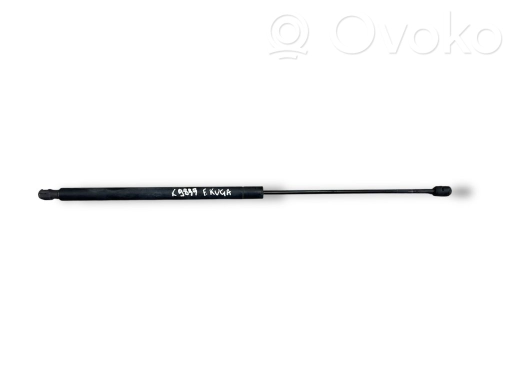 Ford Kuga I Ammortizzatore portellone posteriore/bagagliaio 