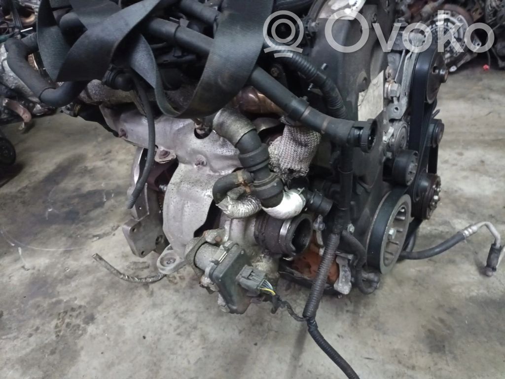 Engine   224DT,DZ80