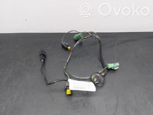 Otros cableados   9658919280,D1001018