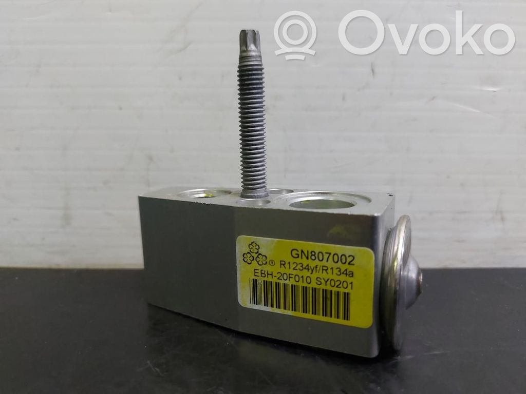 Ventil   GN807002,EBH20F010