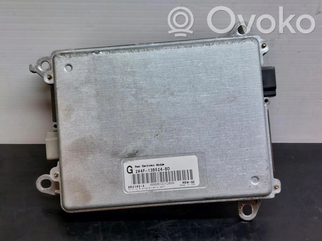 SAM control unit   2W4F13B524BD