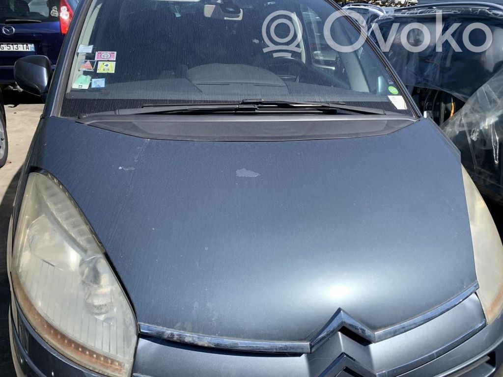 Motorhaube   7901N7