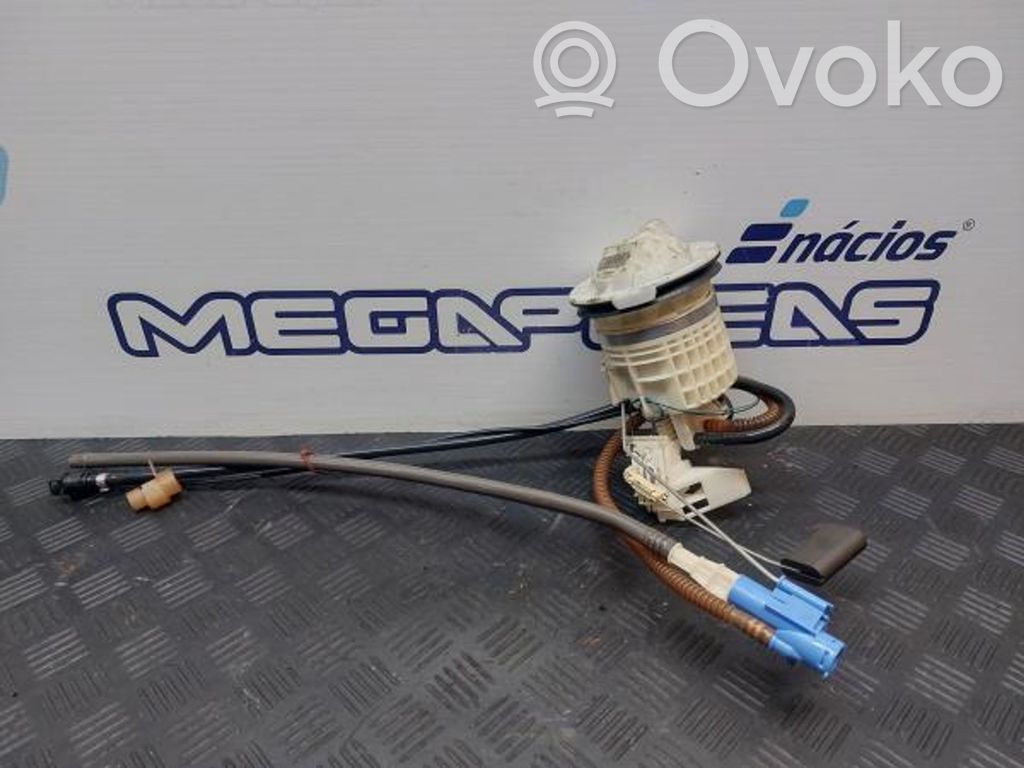 Fuel level sensor   10652419