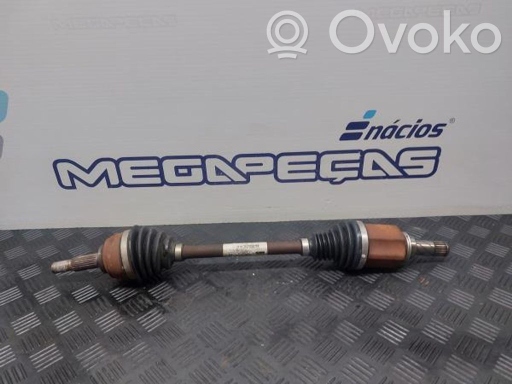 Semiasse anteriore   391017832R