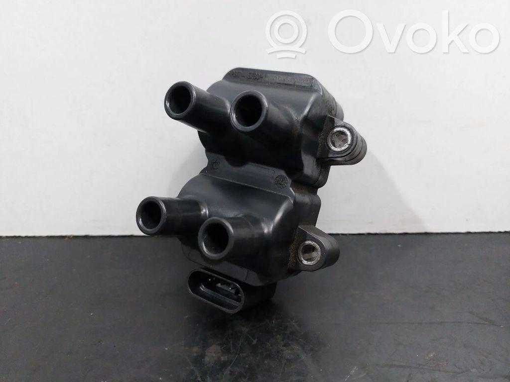 Bobina de encendido de alto voltaje   R3003S00100