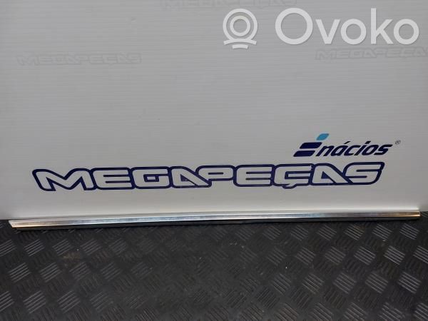 Mercedes-Benz E C207 W207 Rivestimento della portiera anteriore (modanatura) 