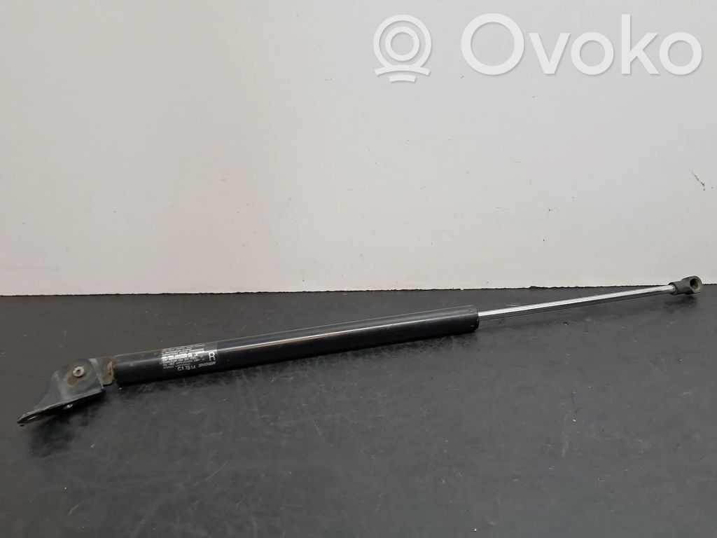 Tailgate/trunk strut/damper   C17B14,C23562620C