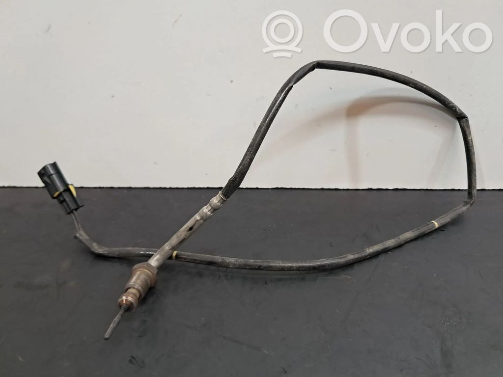 Abgastemperatursensor   226401704R