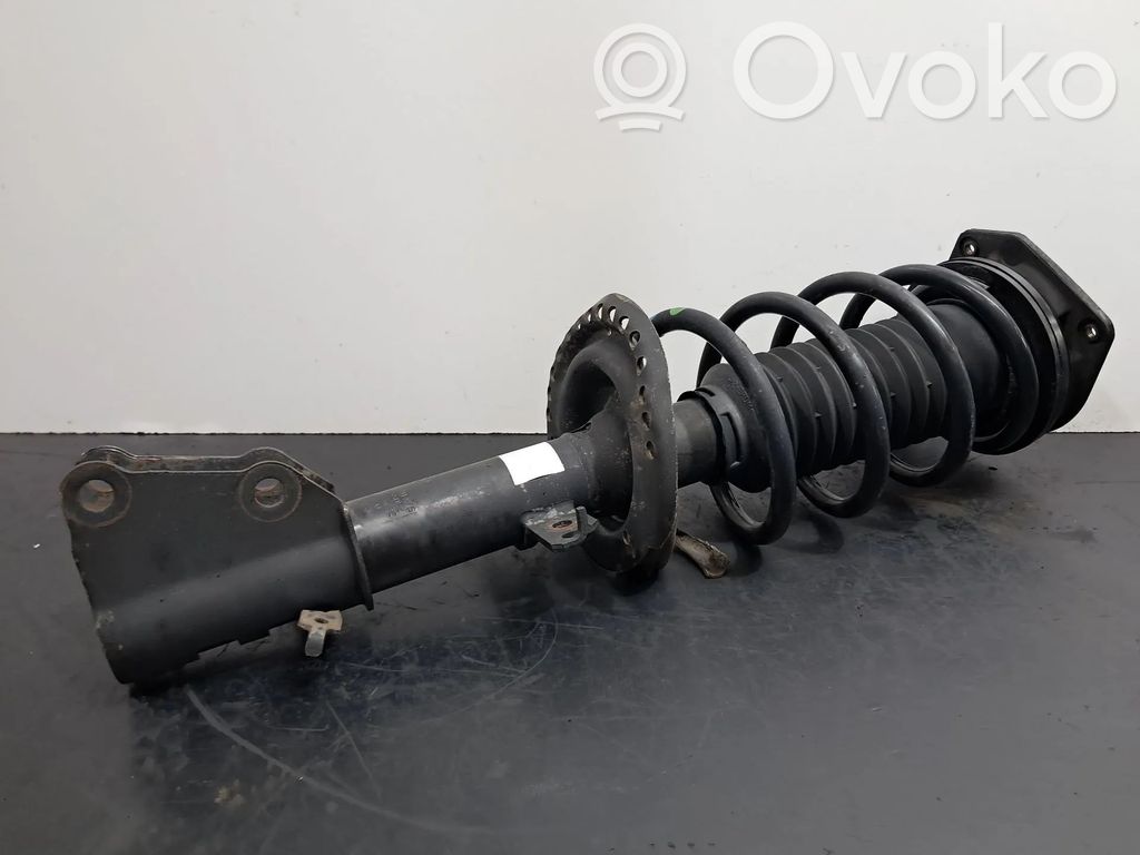 Amortiguador delantero   543020572R