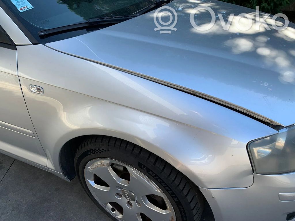 Audi A3 S3 8P Spārns 