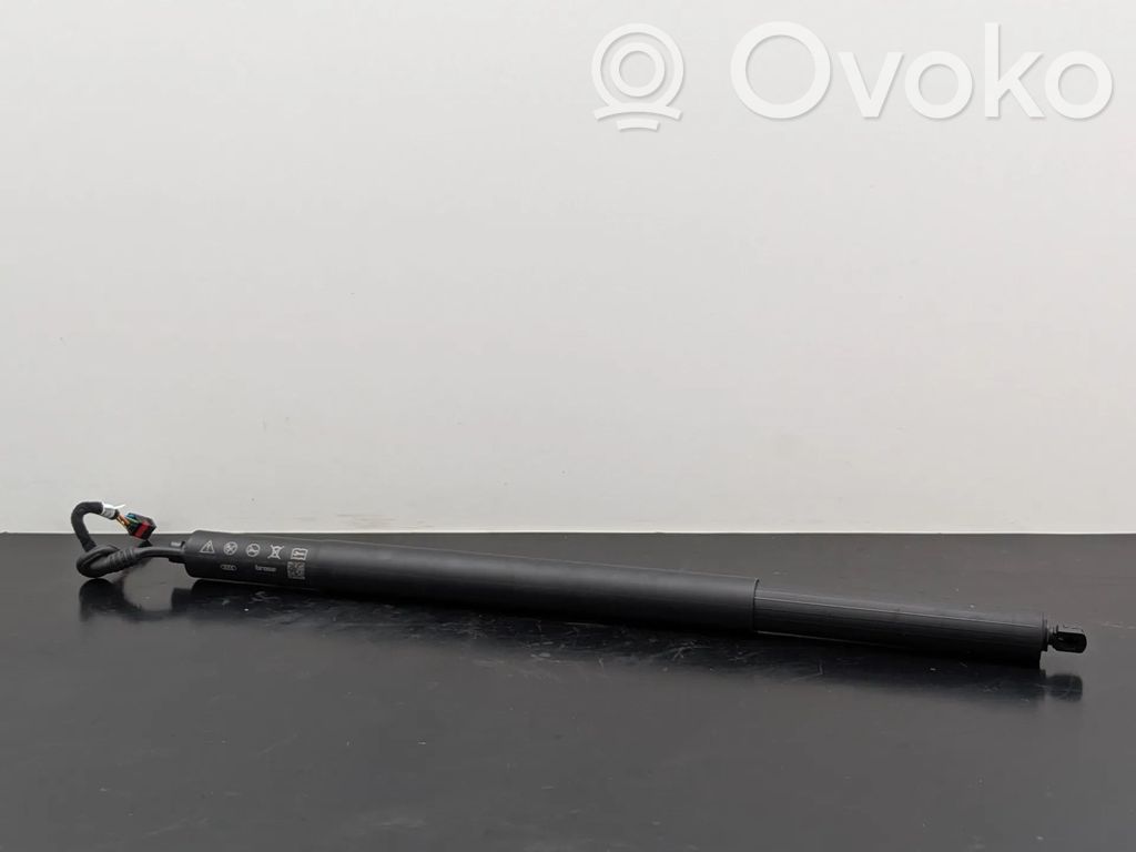 Tailgate/trunk strut/damper   83F827851F