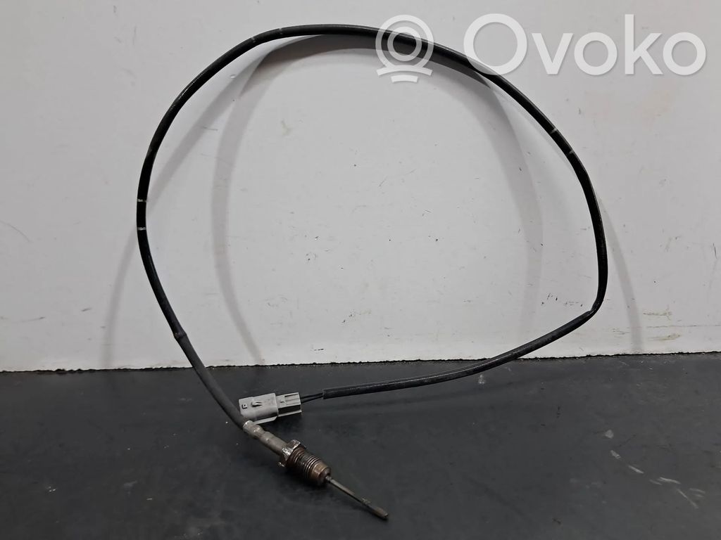 Renault Megane III Abgastemperatursensor 