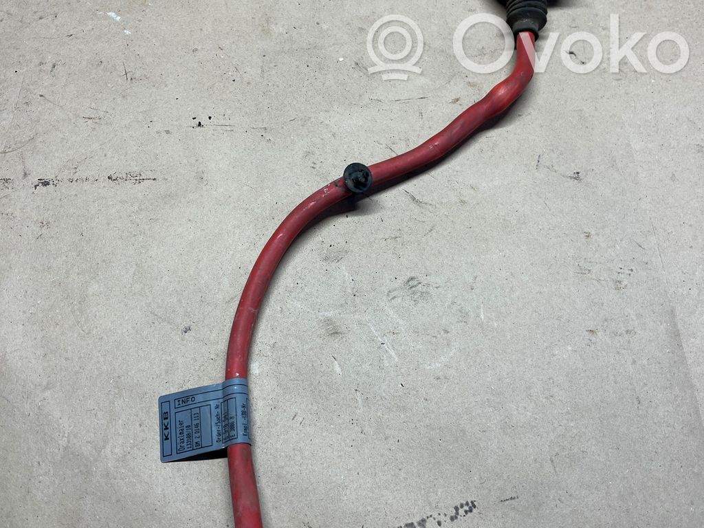 Positive cable (battery)   6910541,13318810,2D146113,6910543