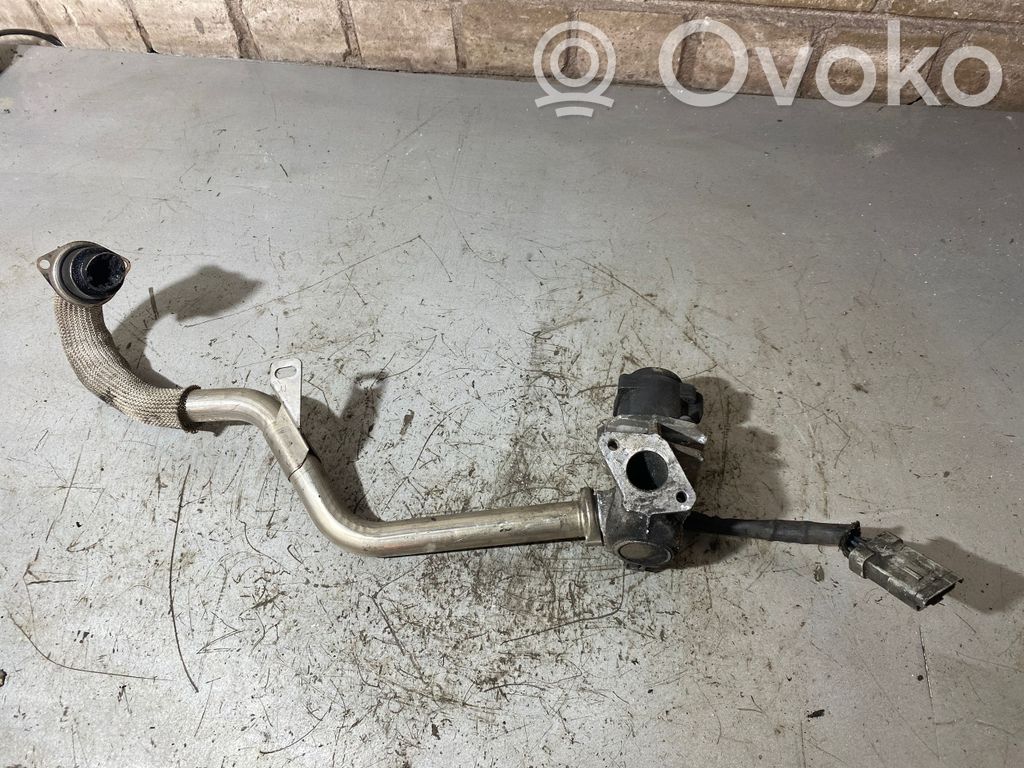 Ford Focus C-MAX EGR valve 