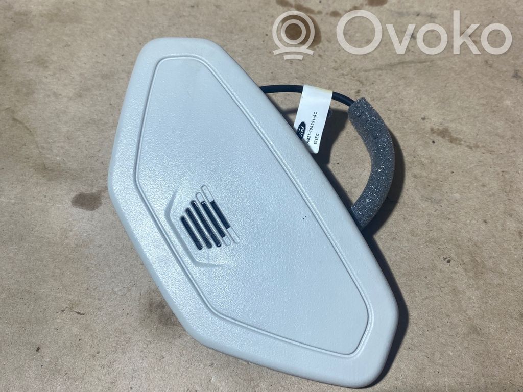Ford Focus Mikrofonas (bluetooth / telefono) 