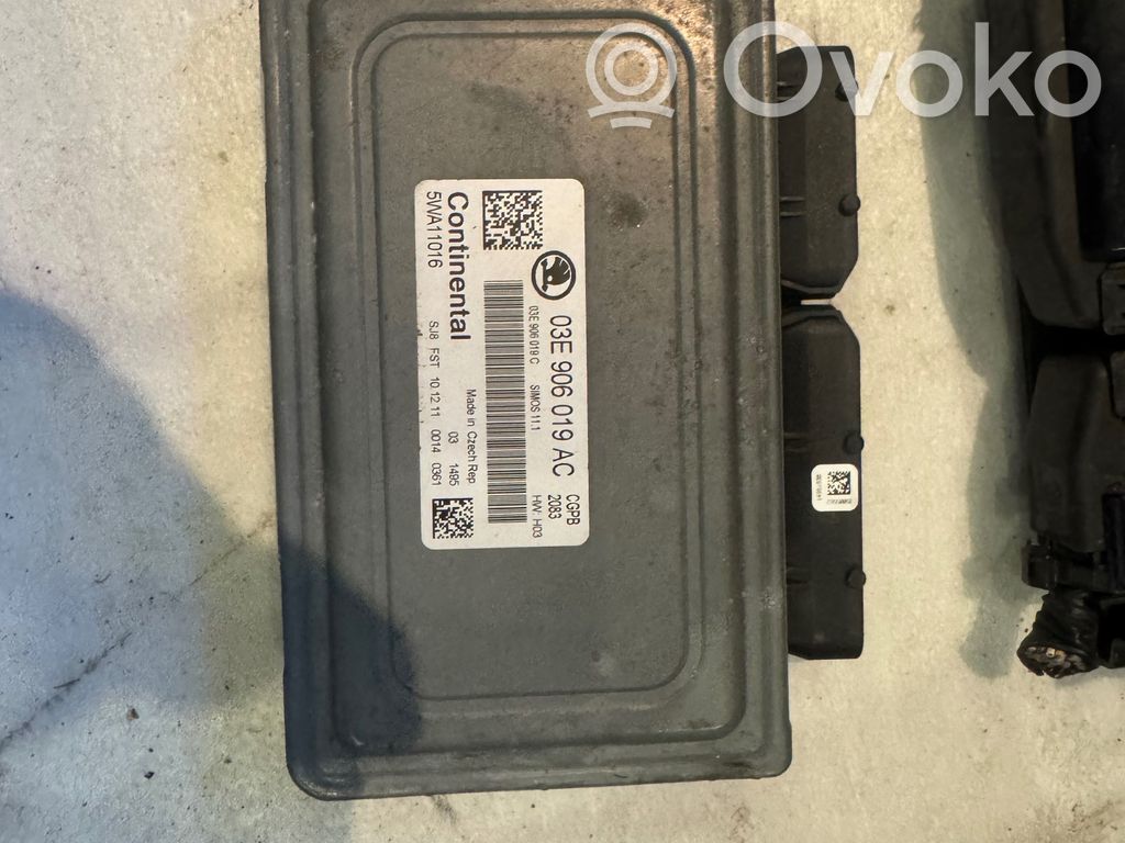 Engine control unit/module   03E906019AC,03E906019C,5WA11016