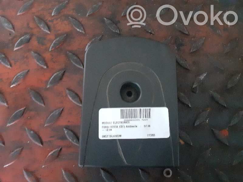 Ford Fiesta Other control units/modules 
