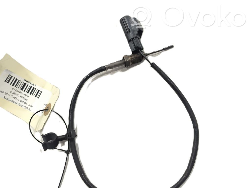 Kitas daviklis   3M5A12B591AB