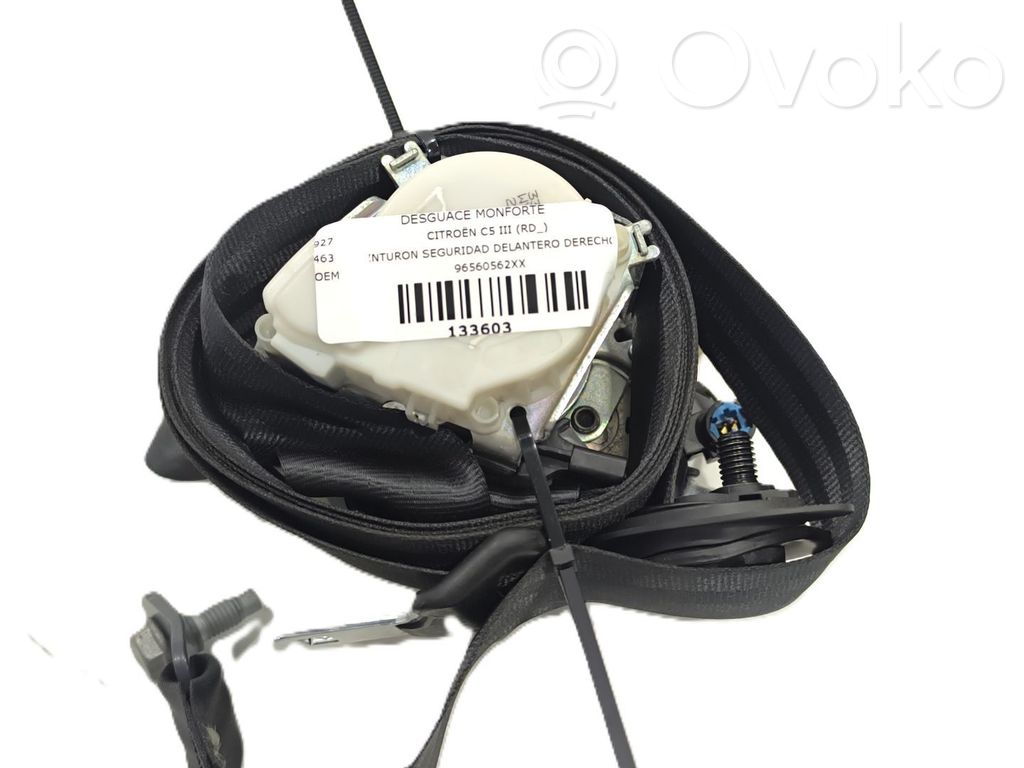 Cinturón delantero   96560562XX