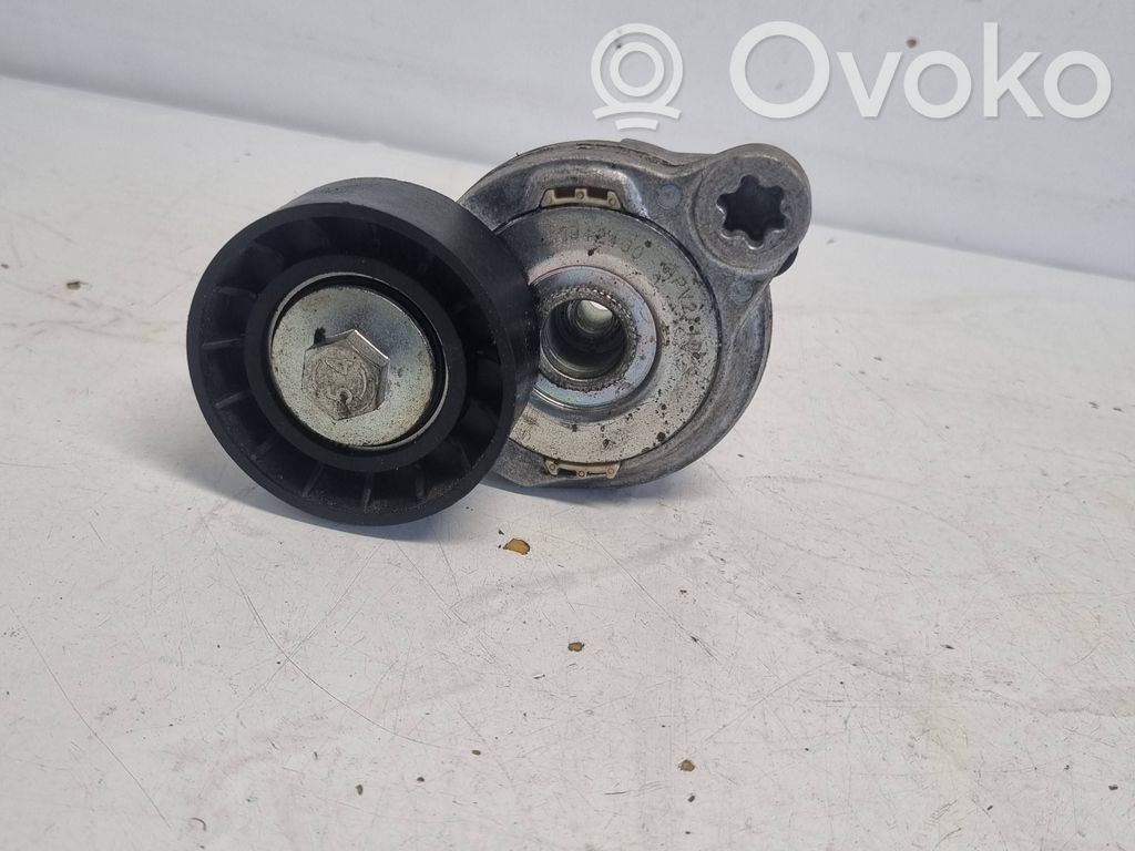 Volvo V70 Tendicinghia generatore/alternatore 