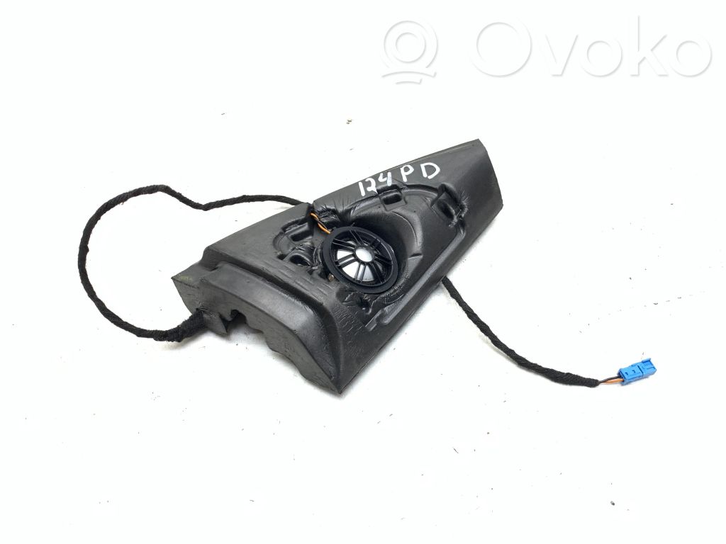 BMW X5 E70 Front door speaker 